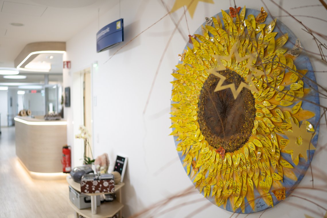 Sonnenblume in Palliativstation